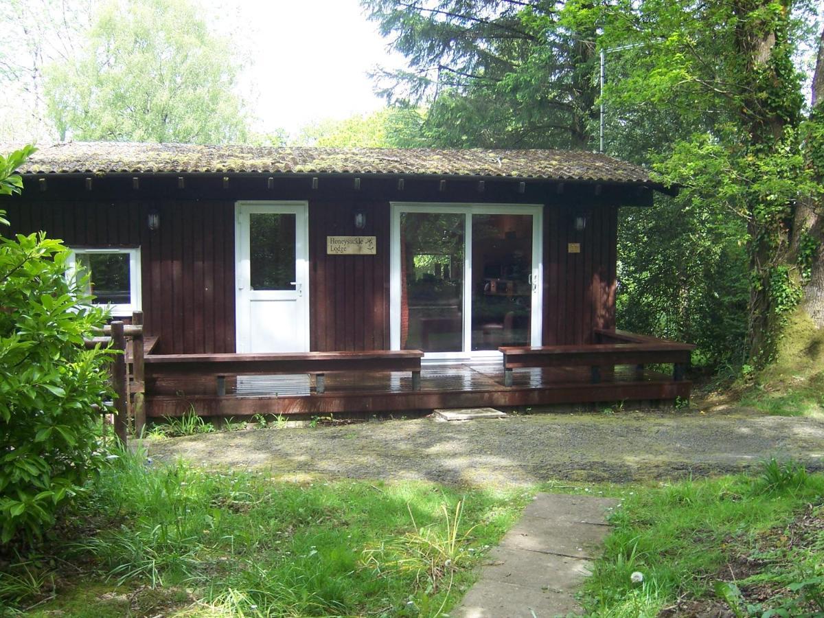 Honeysuckle Lodge Set In A Beautiful 24 Acre Woodland Holiday Park Newcastle Emlyn Exterior foto